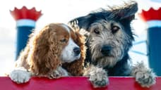 A New Look At The Lead Pups Of Disney's Upcoming, Live-Action Remake Of LADY AND THE TRAMP Has Been Released