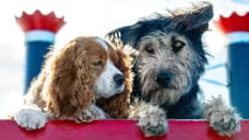 LADY AND THE TRAMP: New, High-Resolution Stills From The Upcoming Disney+ Movie