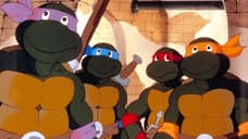 Original 1987 TEENAGE MUTANT NINJA TURTLES Animated Series To Debut On Nickelodeon This Month