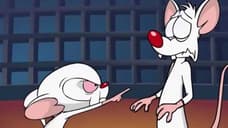PINKY AND THE BRAIN Are Returning According To ANIMANIACS Actor Rob Paulsen