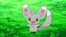 POKÉMON GO Trainers Get To Celebrate The Chinchilla Pokémon, Minccino With Special Research