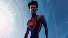 SPIDER-MAN: ACROSS THE SPIDER-VERSE Character Posters Leak Online; Meet Spider-Man India In New TV Spot