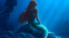 THE LITTLE MERMAID Merchandise Offers New Look At King Triton, Ursula, Flounder, Scuttle, And More