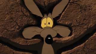 Coyote vs. ACME Trailer Teaser Reveals The Movie Warner Bros. Didn't Want You To See