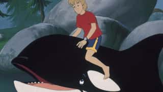 Free Willy Reboot In The Works At Warner Bros. From Avengers Directors The Russo Brothers