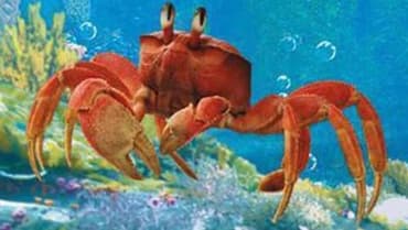 THE LITTLE MERMAID: Daveed Diggs' Sebastian Finally Speaks In Epic New TV Spot