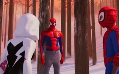 Sony Shares New SPIDER-MAN: INTO THE SPIDER-VERSE Image On National Spider-Man Day