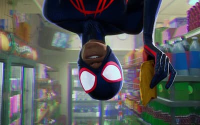 When Will SPIDER-MAN: ACROSS THE SPIDER-VERSE Be On Netflix? Official Premiere Date Announced