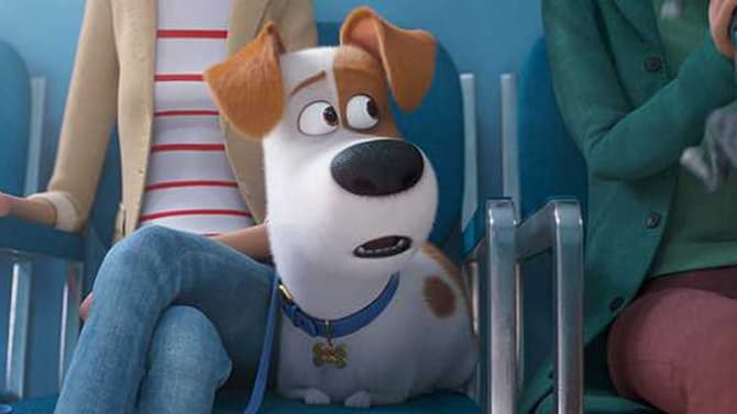 THE SECRET LIFE OF PETS 2: Check Out The First Trailer