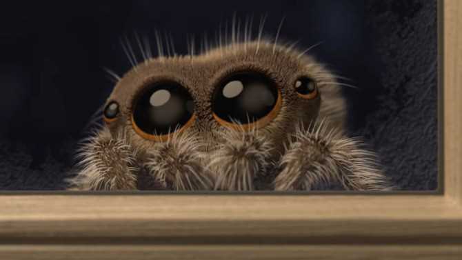 LUCAS THE SPIDER Creator Didn't Expect Its Success