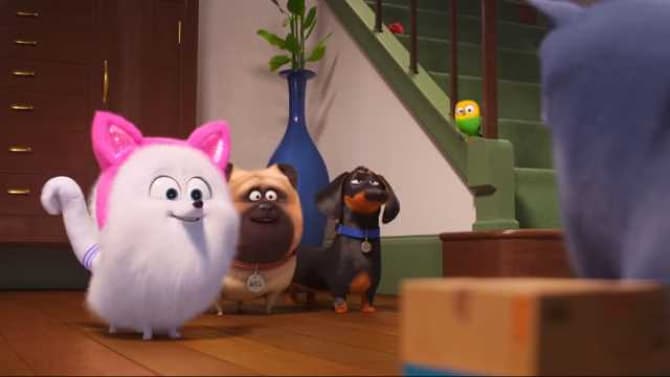 New Character Trailer For THE SECRET LIFE OF PETS 2 Sees Gidget Training To Become A Cat