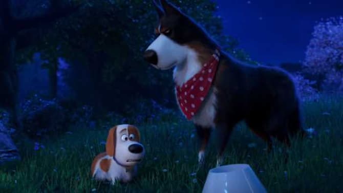 THE SECRET LIFE OF PETS 2 Trailer Introduces Harrison Ford's Rooster In All His Grumpy Glory