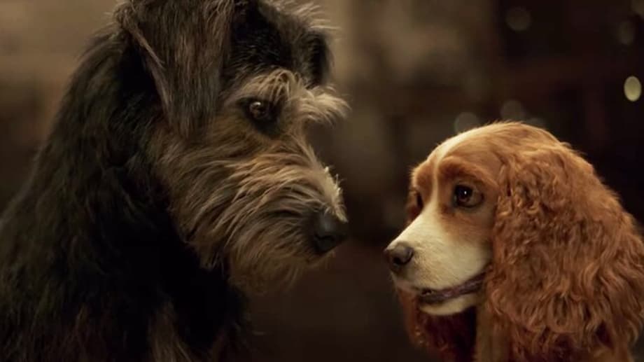 LADY AND THE TRAMP: Explore The World Beyond The Fence In The Latest Trailer For The Live-Action Disney+ Film