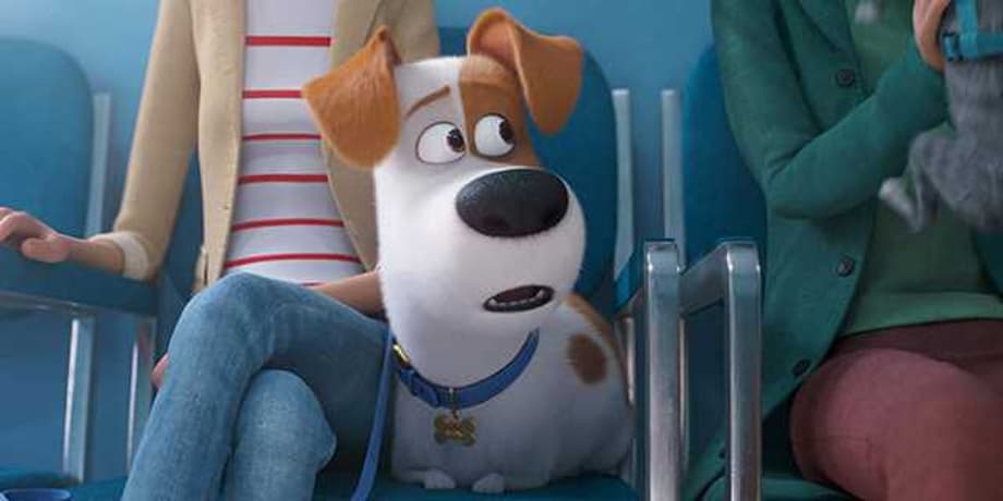 THE SECRET LIFE OF PETS 2: Check Out The First Trailer