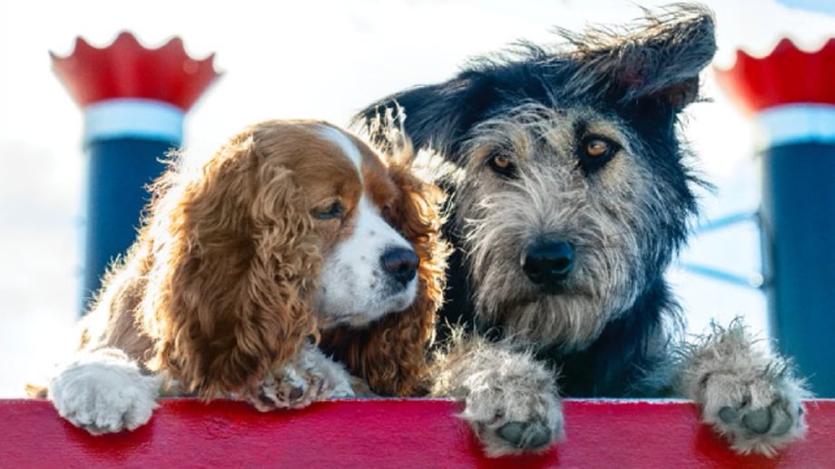 A New Look At The Lead Pups Of Disney's Upcoming, Live-Action Remake Of LADY AND THE TRAMP Has Been Released