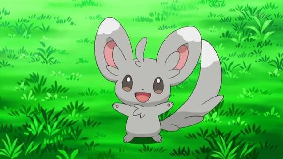 POKÉMON GO Trainers Get To Celebrate The Chinchilla Pokémon, Minccino With Special Research