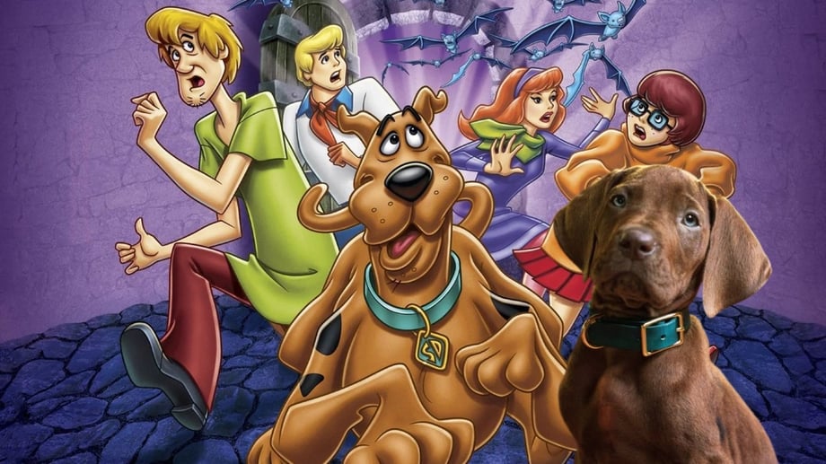 Scooby-Doo: Origins Teaser Trailer Reveals First Look At The Reboot's New Scooby-Doo