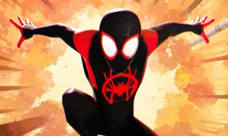 What Can You Watch Spiderman Into The Spider Verse On toonado.com
